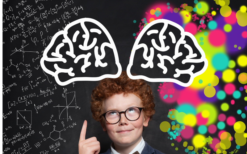 Representación del cerebro y la psicología adolescente